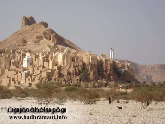 11dawan-03.gif