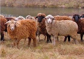 2baaa.jpg