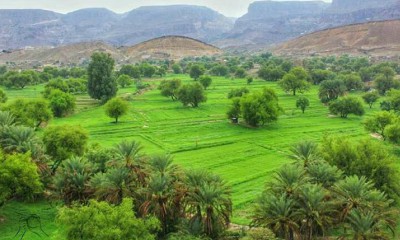 news_20180327_28.jpg