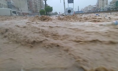 news_20180517_11.jpg