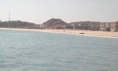 news_20180806_08.jpg