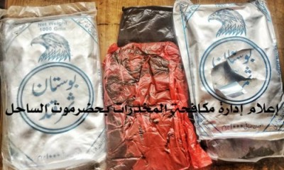 news_20190124_09.jpg