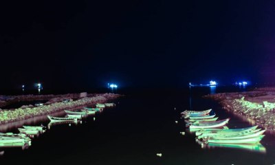 news_20190309_08.jpg