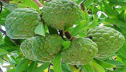 news_20190324_18.jpg
