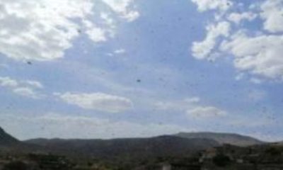 news_20190616_15.jpg
