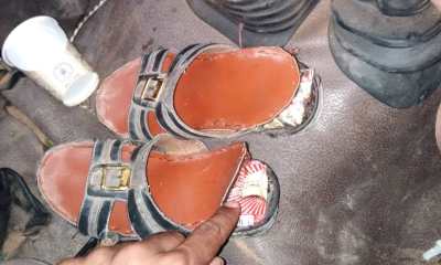 news_20190914_03.jpeg