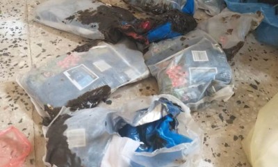 news_20190924_10.jpg