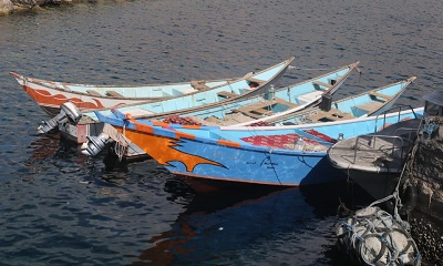 news_20200217_18.JPG