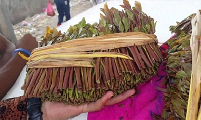 news_20200319_11.jpg