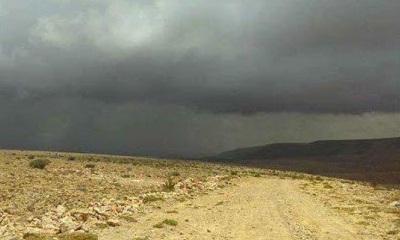 news_20200324_09.jpg