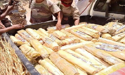 news_20200411_14.jpg