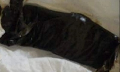 news_20200617_08.jpg
