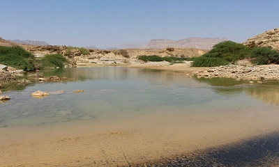 news_20200622_06.jpg