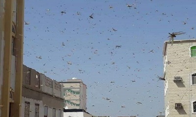 news_20200712_14.jpg