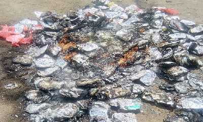 news_20200720_04.jpg
