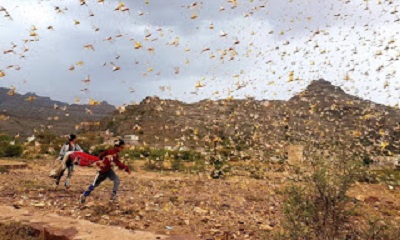 news_20201101_21.jpg