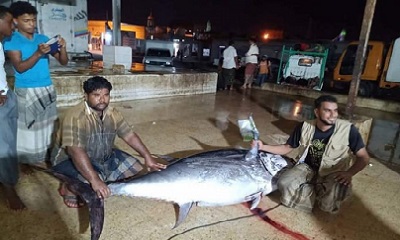 news_20210517_09.jpg