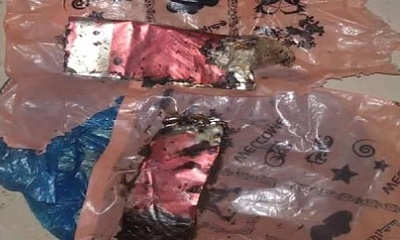 news_20210606_16.jpg