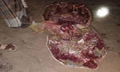 news_20211213_12.jpg